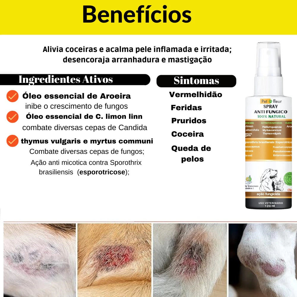 Spray 100% Natural Antifúngico Herbal para peles e pelos Caes e gatos na internet
