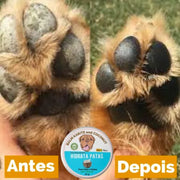 Coxins das patas de cachorro para rotina de hidratação e cuidados
