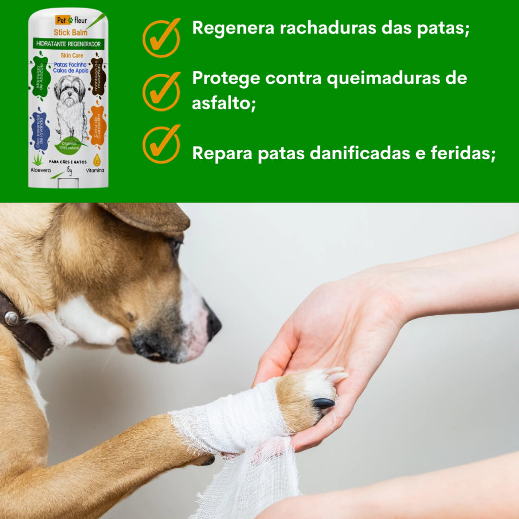 Kit Espuma Limpa Patas função antifúngica com Escova massageadora Óleo de Andiroba Vitamina E + Stick Balm Hidratante An - comprar online