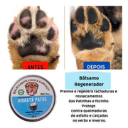 Hidrata Patas Petfleur – Balm Hidratante para Cães e Gatos 30g na internet