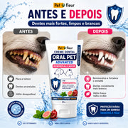 Kit Pasta de dente Hidroxiapatita Caes e Gatos