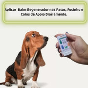 Modo de uso do Stick Balm Petfleur 15 g