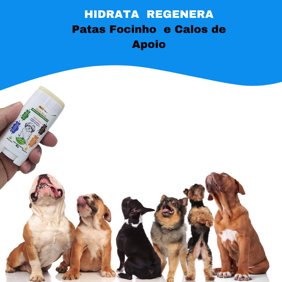 Stick Balm Petfleur 50 g para hidratação de patas e focinho